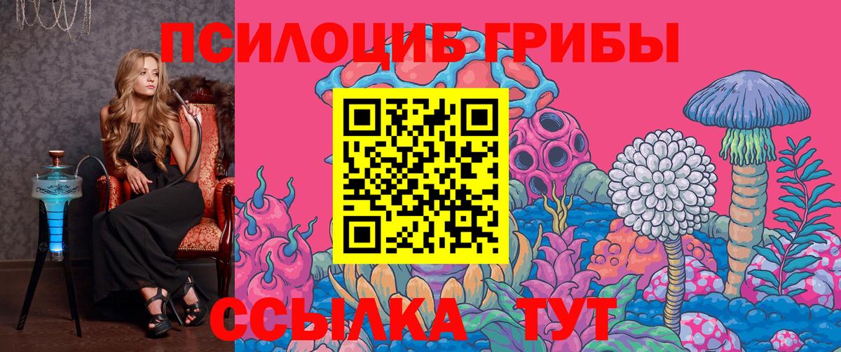 Боровичи  Псилоцибиновые грибы Psilocybe  где продают наркотики  Вход с VPN 